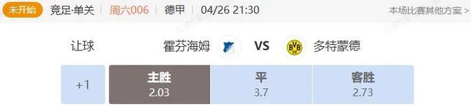 德甲英超解析：霍芬海姆VS多特+布赖顿VS汉姆联